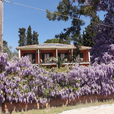 Dassia Beach Pension Εξωτερικό φωτογραφία