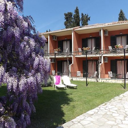 Dassia Beach Pension Εξωτερικό φωτογραφία
