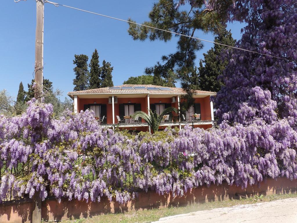 Dassia Beach Pension Εξωτερικό φωτογραφία